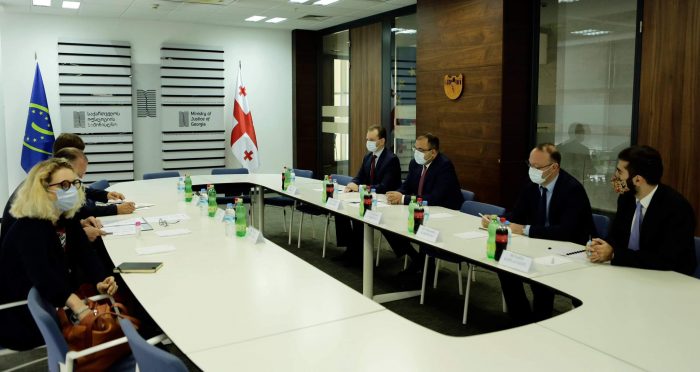 რიკ დემსი – „საქართველო მყარად მიჰყვება ევროპული ოჯახის სრულფასოვანი წევრობისკენ მიმავალ გზას“