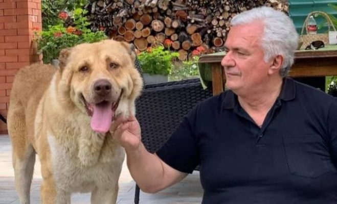 ლომასავით არც მე მქონდა გალაღებული ცხოვრება... შრამები სხეულსა და გულშიც... - გურამ ოდიშარიასა და ნაგაზის ემოციური ისტორია