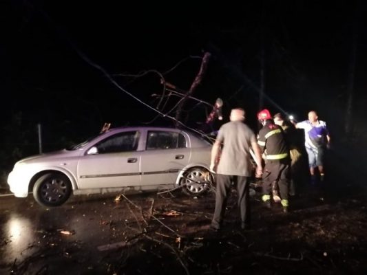 სტიქია კახეთში – ქარისგან წაქცეული ხეები გზაზე მიმავალ მსუბუქ ავტომობილს დაეცა