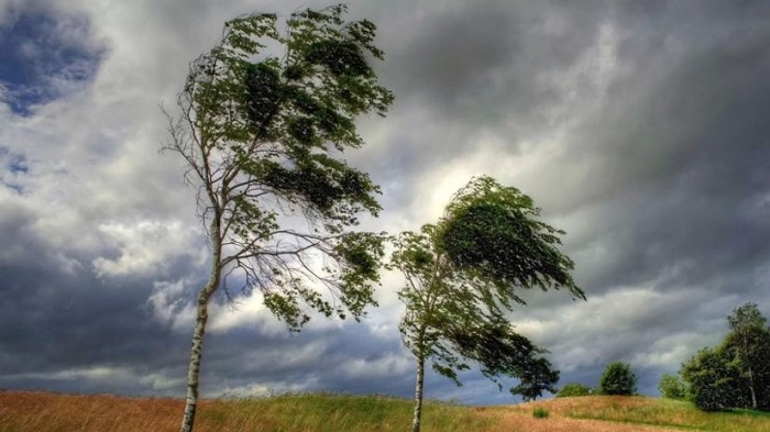 როდემდე შენარჩუნდება ძლიერი ქარი საქართვლოში – სინოპტიკოსების პროგნოზი