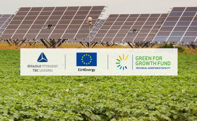 მცირემასშტაბიანი მწვანე ინიციატივა: მზის პანელების სისტემების ხელშეწყობა საქართველოში