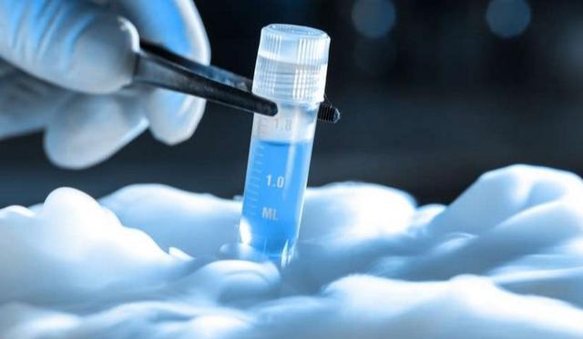 იაპონიაში ახალი ვირუსი გამოვლინდა, რომელიც მწვავე ცხელებას იწვევს - ნახეთ, როგორ გადადის ის ადამიანზე