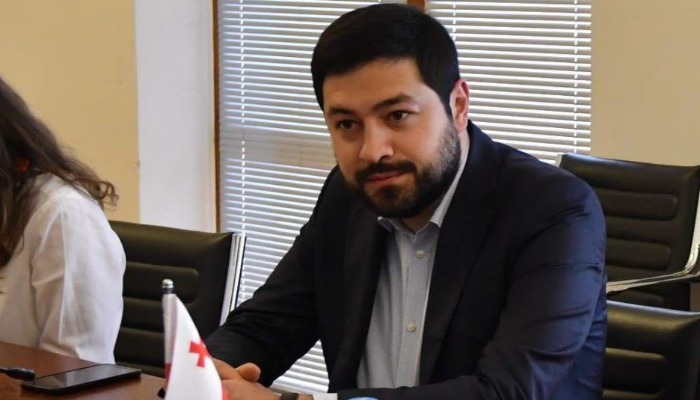 ლევან ქარუმიძე მიხეილ სააკაშვილთან დაკავშირებით ECR-ის განცხადებას ფარისევლობის თვალსაჩინო მაგალითს უწოდებს