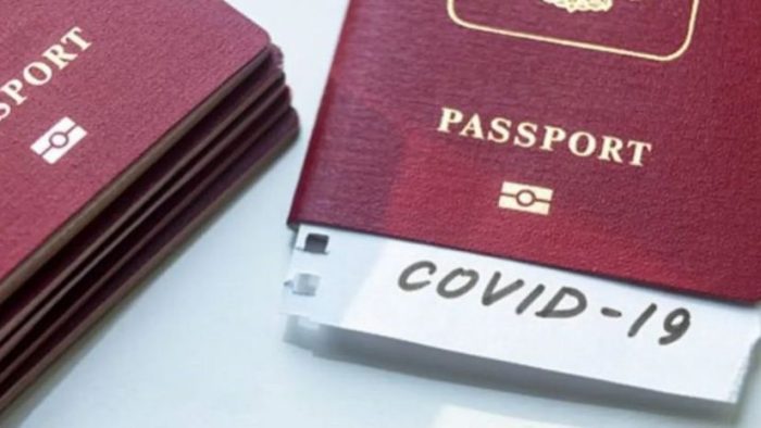 კოვიდპასპორტები და PCR ტესტის უარყოფითი პასუხი 70 ევროდ - ყალბი დოკუმენტების დამზადებისთვის 9 პირი პასუხისგებაში მიეცა