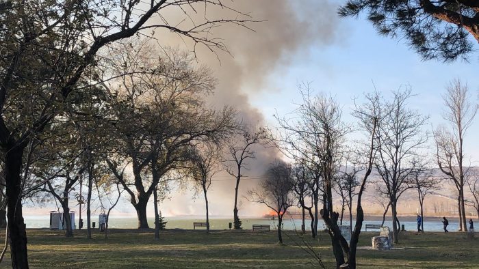 VIDEO: ლისის ტბაზე ხანძარია