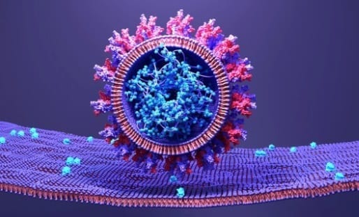 როგორია „ომიკრონით“ ინფიცირებული მოქალაქეების ჯანმრთელობის მდგომარეობა